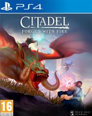 Citadel: Forged With Fire (PS4) 