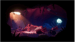 Endling - Extinction is Forever (PS4) - immagine 5