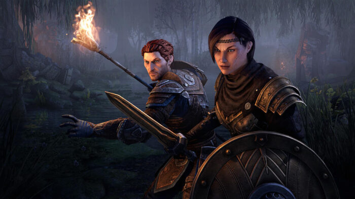 The Elder Scrolls Online Collection: Blackwood (PS4) - immagine 4