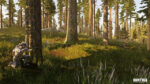Hunting Simulator (Switch) - immagine 5