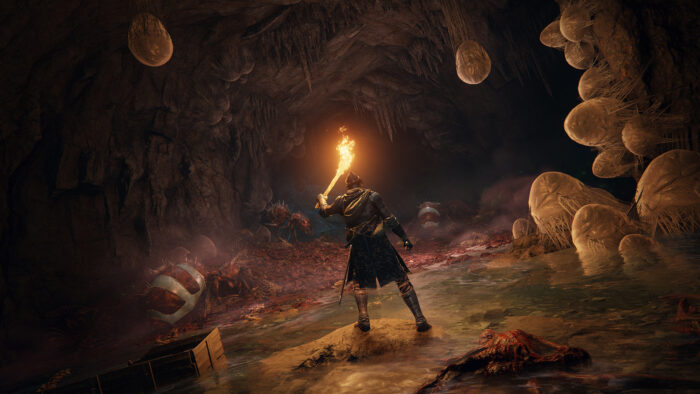 Elden Ring - Collector's Edition - (PS4) - immagine 6