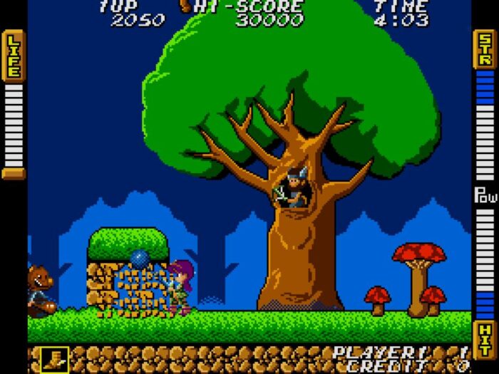 SNK 40th Anniversary Collection (Switch) - immagine 4