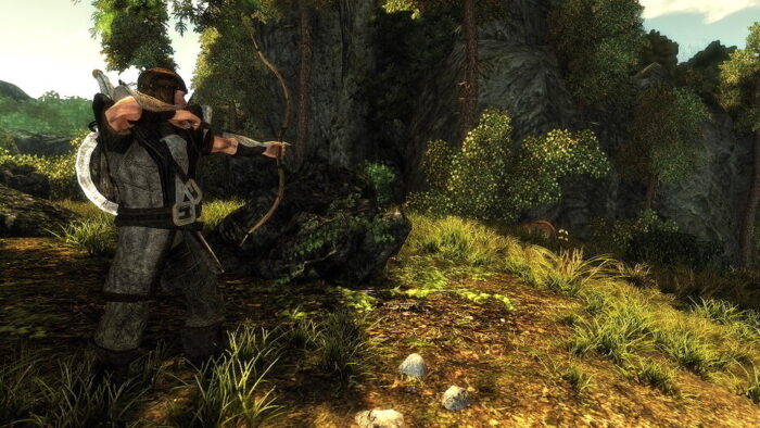 Risen (Switch) - immagine 5