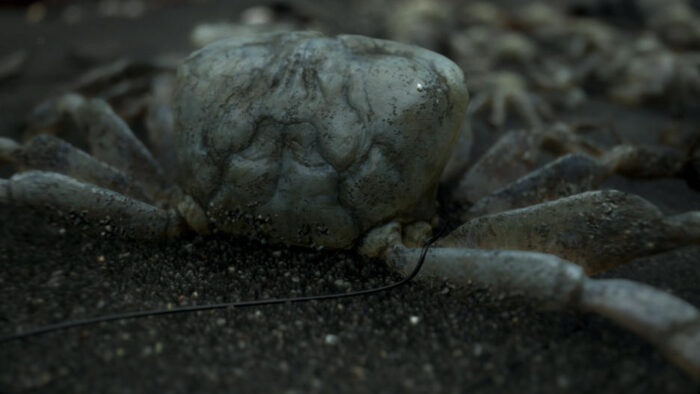 Death Stranding (PS4) - immagine 6
