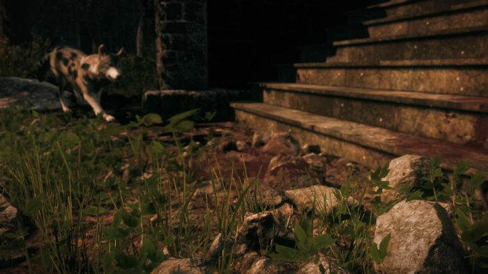 Maid Of Sker (Xbox One) - immagine 6