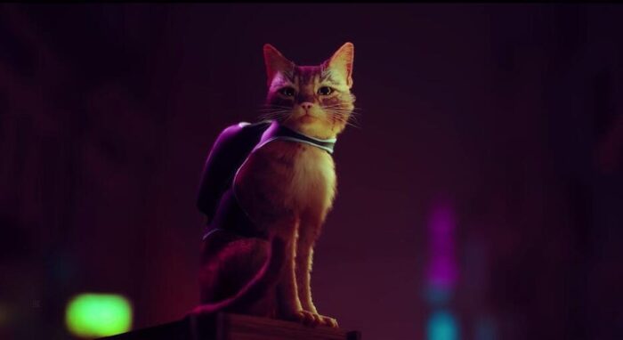 Stray (PS5) - immagine 8