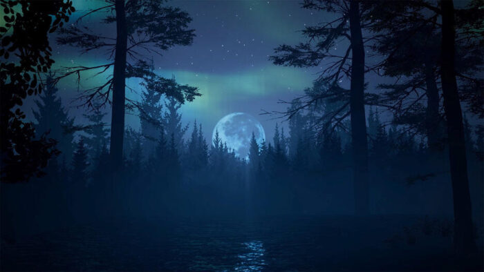 The Chant - Limited Edition (PS5) - immagine 9