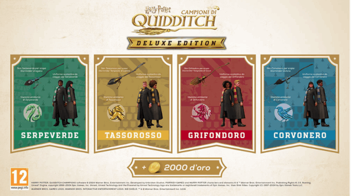 Harry Potter Campioni di Quidditch - Deluxe Edition (CIAB) (Switch) - immagine 2
