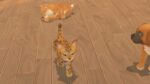 My universe - Puppies & Kittens (Switch) - immagine 3