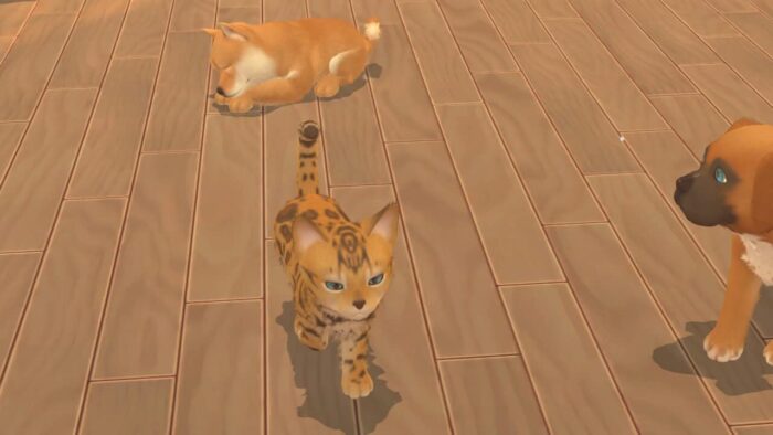 My universe - Puppies & Kittens (Switch) - immagine 3