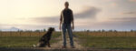 Farming Simulator 19 - Premium Edition (PC) - immagine 2