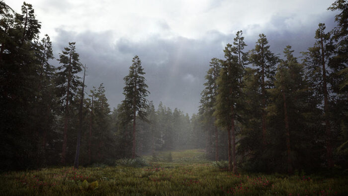 Hunting Simulator 2 (PS4) - immagine 2