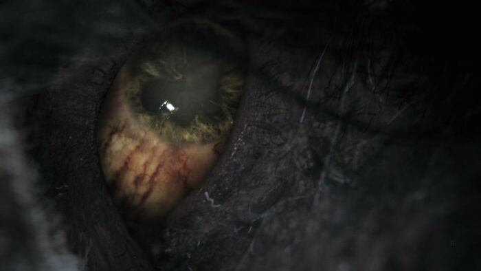 Bloodborne - Playstation Hits (PS4) - immagine 2