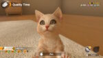 Little Friends: Dogs & Cats (Switch) - immagine 2