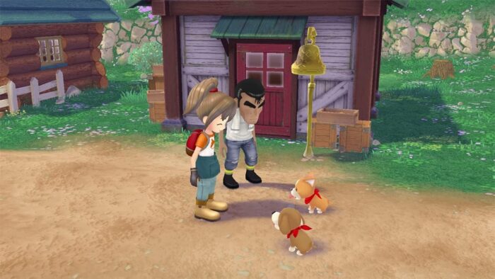 Story of Seasons - A Wonderful Life - Limited Edition (PS5) - immagine 9