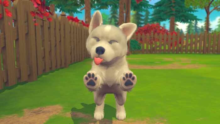 My universe - Puppies & Kittens (Switch) - immagine 4