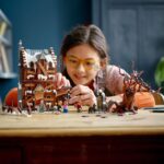 LEGO Harry Potter - La Stamberga Strillante e il Platano Picchiatore - 76407 - immagine 2