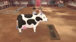 Story of Seasons - A Wonderful Life - Limited Edition (Switch) - immagine 2