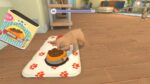 My universe - Puppies & Kittens (Switch) - immagine 5