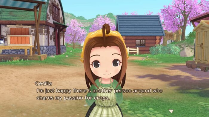 Story of Seasons - A Wonderful Life - Limited Edition (Switch) - immagine 3