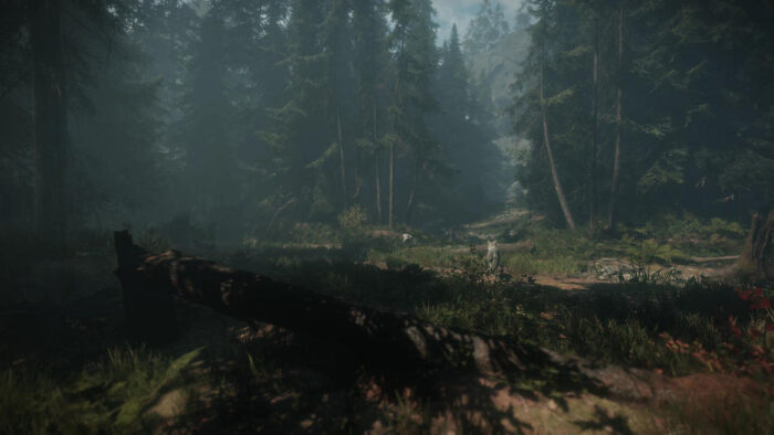 Maid Of Sker (PS4) - immagine 3