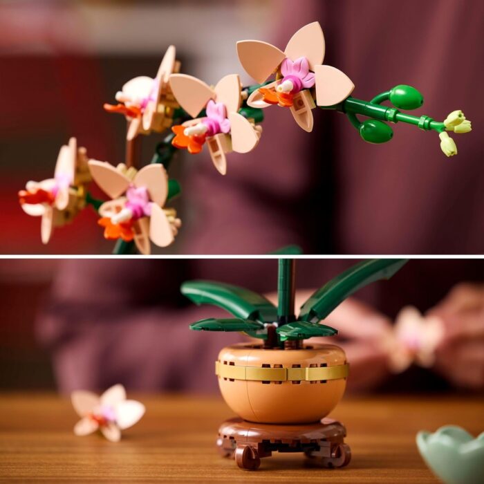 LEGO Botanicals Mini-Orchidea - 10343 - immagine 2