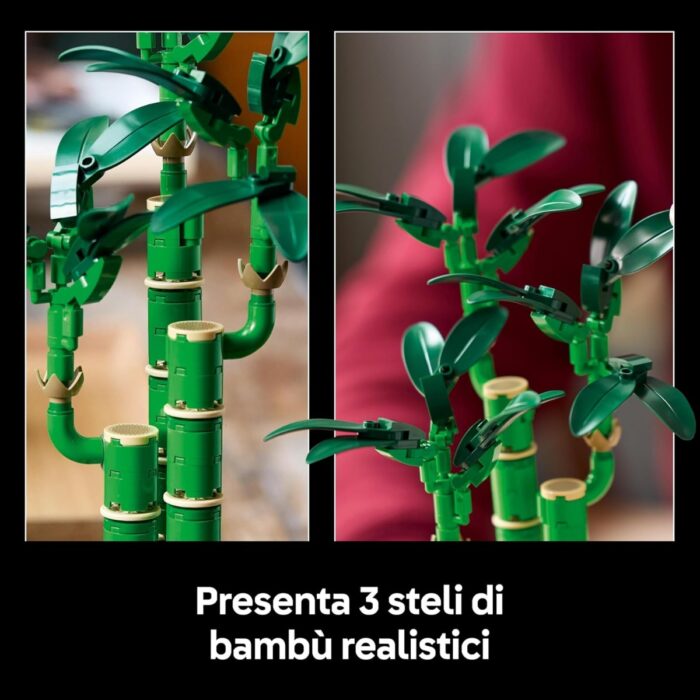 LEGO Botanicals Bambù del Buon Auspicio - 10344 - immagine 2