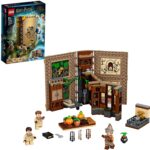 LEGO Harry Potter - Lezione di erbologia a Hogwarts - 76384
