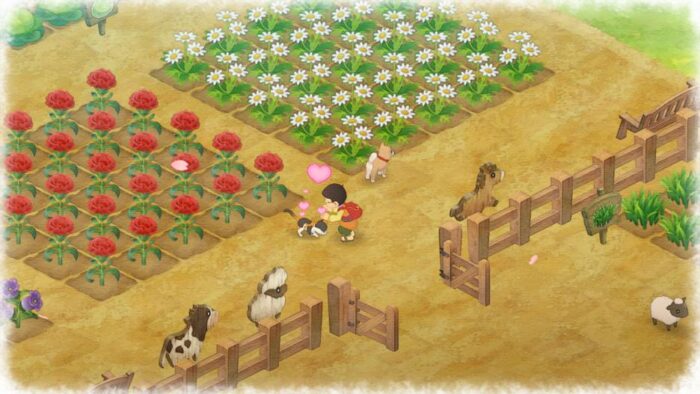 Doraemon: Story Of Seasons (PS4) - immagine 4