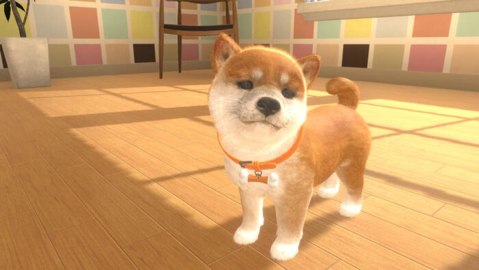 Little Friends: Dogs & Cats (Switch) - immagine 5