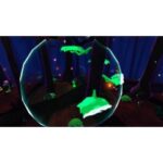 A Hat in Time (PS4) - immagine 4