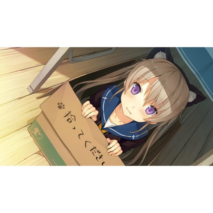 Aokana - Four Rhythms Across the Blue - Limited Edition (Switch) - immagine 4