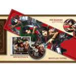 A.O.T. - Wings of Freedom - Treasure Box Limited Edition (Attack on Titan) (PS4)