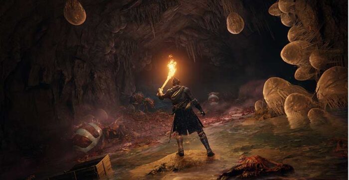 Elden Ring - Standard Edition (PS4) - immagine 6