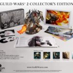 Guild Wars 2 - Edizione da Collezione Preacquisto (PC)