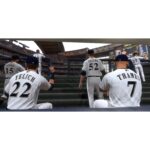 MLB: The Show 19 (PS4) - immagine 6