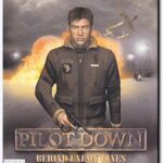 Pilot Down: Behind Enemy Lines (PC)