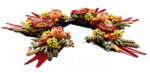 LEGO Icons - Centrotavola di Fiori Secchi - Botanical Collection - 10314 - immagine 3