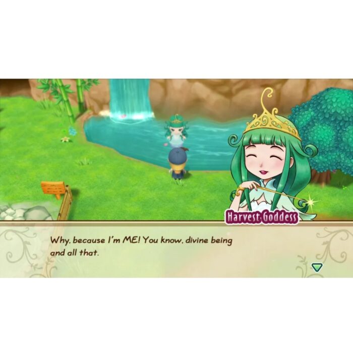 Story of Seasons: Friends of Mineral Town (Switch) - immagine 6