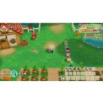 Story of Seasons: Friends of Mineral Town (Switch) - immagine 5