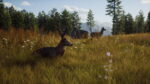 Way of the Hunter (Xbox Series X e Xbox One) - immagine 2