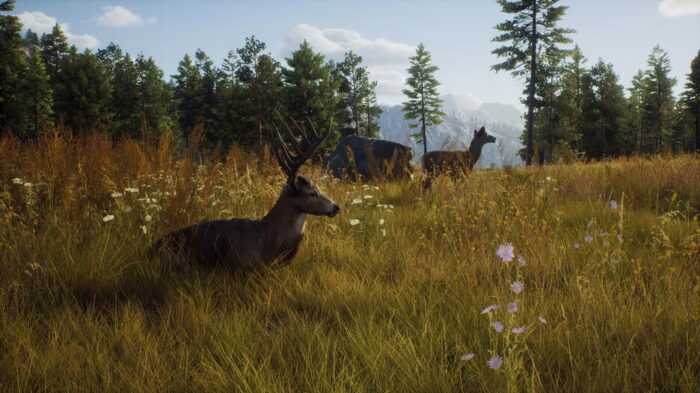Way of the Hunter (Xbox Series X e Xbox One) - immagine 2