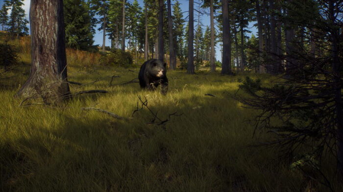 Way of the Hunter (Xbox Series X e Xbox One) - immagine 4