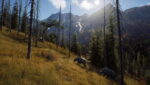 Way of the Hunter (Xbox Series X e Xbox One) - immagine 5