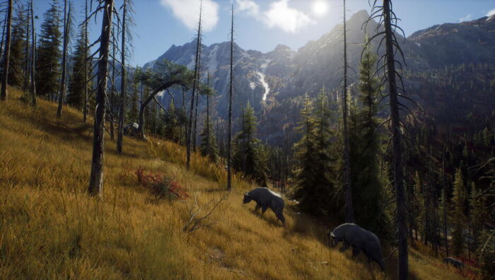Way of the Hunter (Xbox Series X e Xbox One) - immagine 5