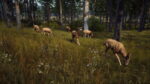 Way of the Hunter (Xbox Series X e Xbox One) - immagine 6