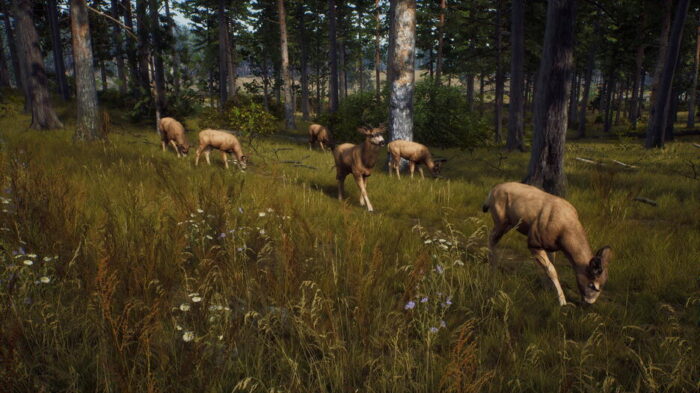 Way of the Hunter (Xbox Series X e Xbox One) - immagine 6