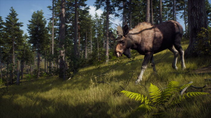 Way of the Hunter (Xbox Series X e Xbox One) - immagine 7